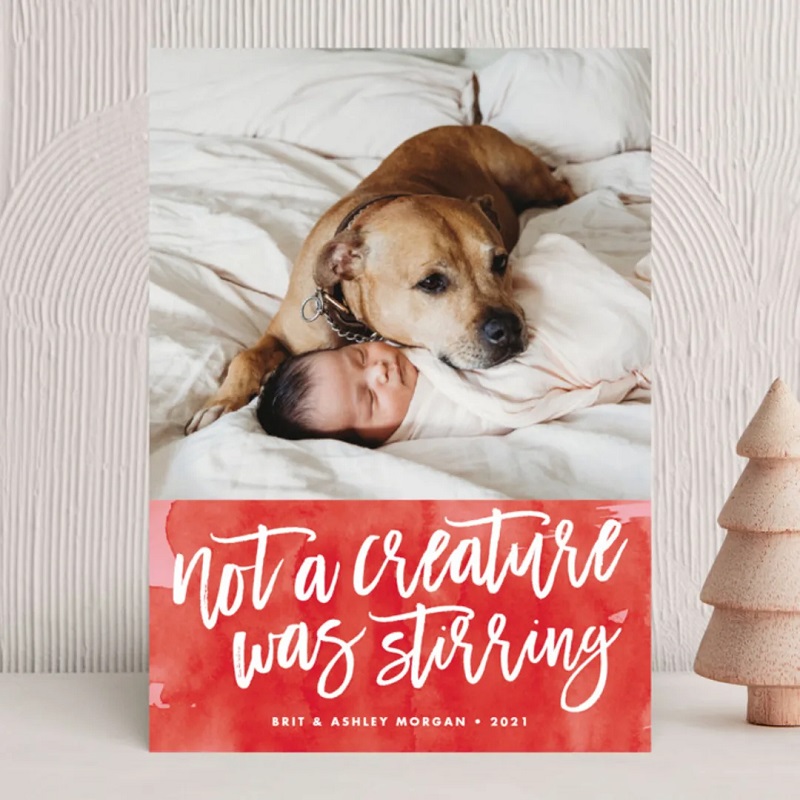 Dog Christmas card for pet lovers featuring a dog snuggling a sleeping baby and the text 'not a creature was stirring'.