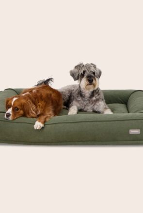 The Snug Dog Bed by Snooza