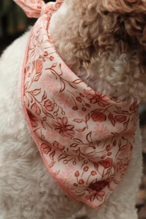 A fluffy dog wearing a stylish pink and peach floral bandana, a top pick for cool canines.