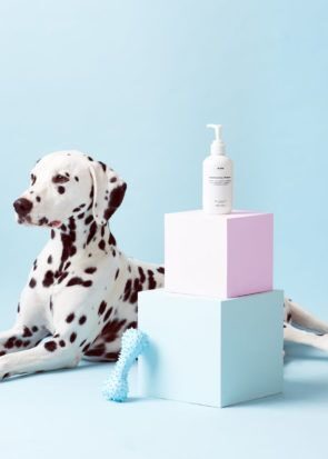 Mr PAW Dog Shampoo - All Natural, Vegan Conditioning Shampoo for Dogs _ Pretty Fluffy