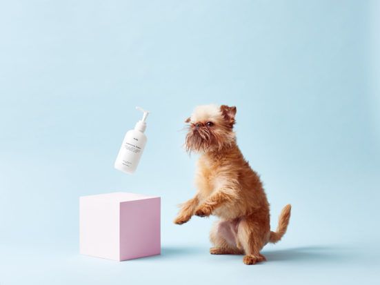 Mr PAW Dog Shampoo - All Natural, Vegan Conditioning Shampoo for Dogs _ Pretty Fluffy