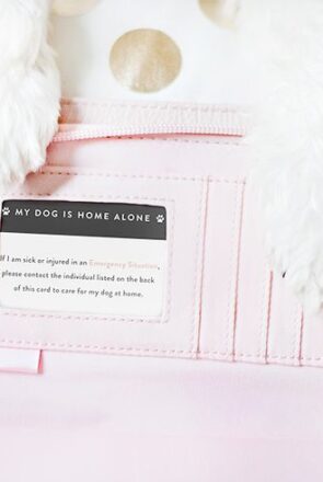My Dog is Home Alone Card for your dog