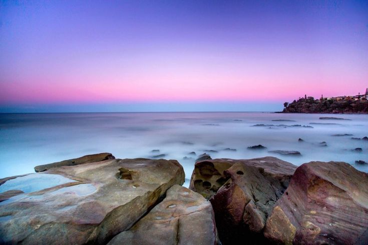 best dog friendly holiday parks in australia