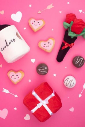 Valentines Day Gifts for Dogs and Dog Lovers