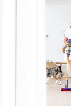 Woman using a Dyson cordless stick vacuum to clean up pet hair near her Australian Shepherd dog.