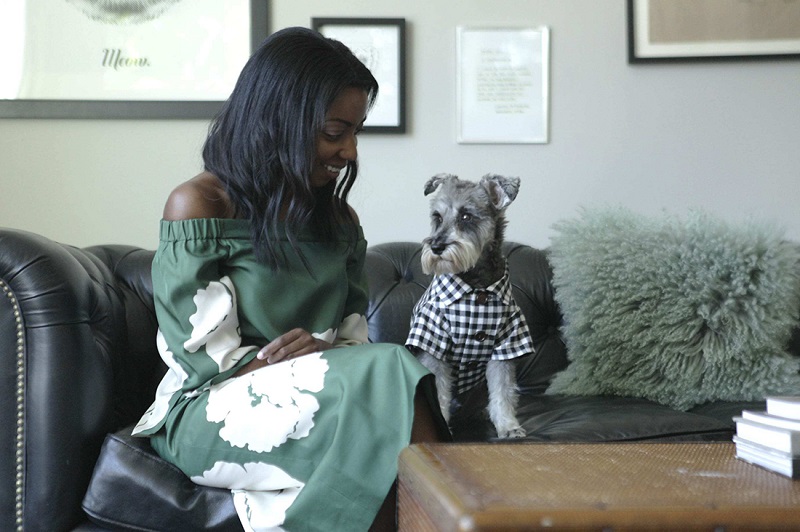 Black woman on a sofa with a Schnauzer dog wearing a checkered shirt, supporting Black-owned pet brands.