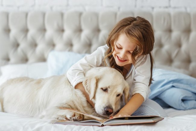 12 Teacher Recommended Books for Children That Love Dogs - Pretty Fluffy