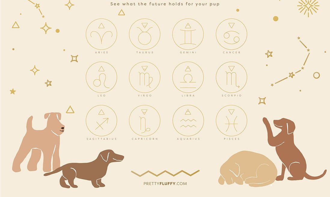 Dog Horoscopes 2021_See what the future holds for your pup_Pretty Fluffy
