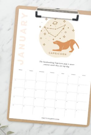 Printable January 2021 dog zodiac calendar for Capricorn on a clipboard with tea and eucalyptus branches.