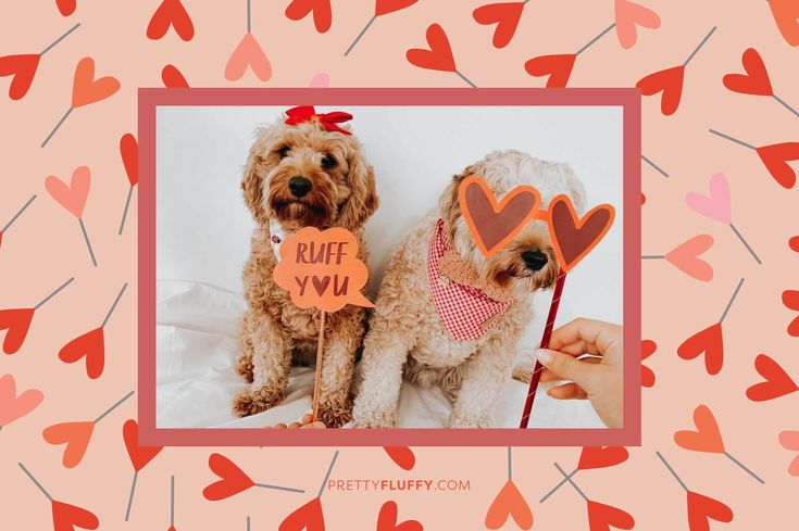 our readers share the love on valentine's day - dog photo booth printables