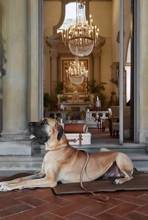 Luxury Pet-Friendly Travel Kit: BMW Italia X Poldo Dog Couture