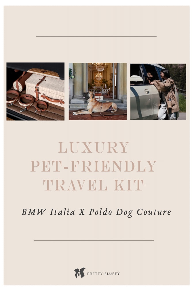 Luxury Pet-Friendly Travel Kit: BMW Italia X Poldo Dog Couture