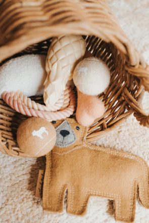 14 of the Best Dog Toys To Suit Neutral Home Decor