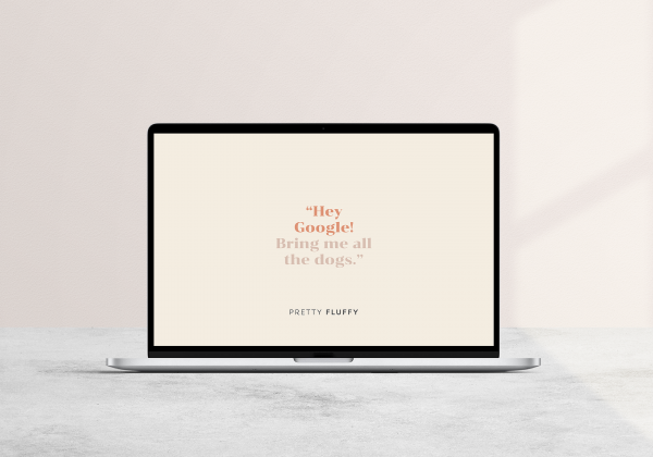 Laptop displaying "Hey Google! Bring me all the dogs" dog quote wallpaper and screensaver.