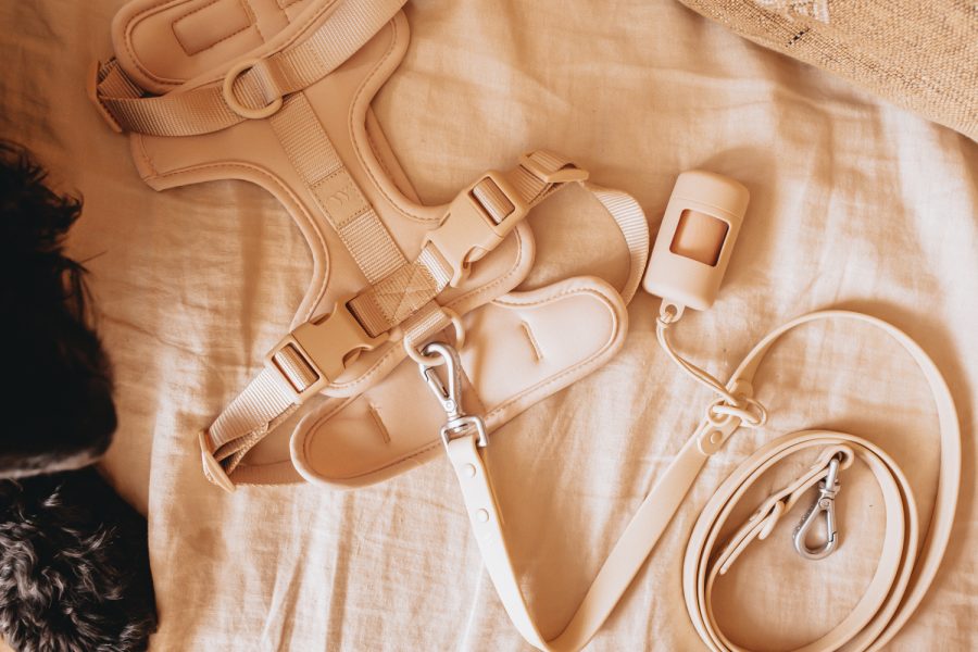 Tan padded dog harness set with matching leash and poop bag dispenser on a neutral linen background.