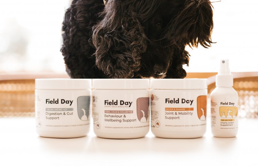 Black dog peeking over Field Day natural dog food toppers for digestion, behaviour, joint support, and skin vitality.