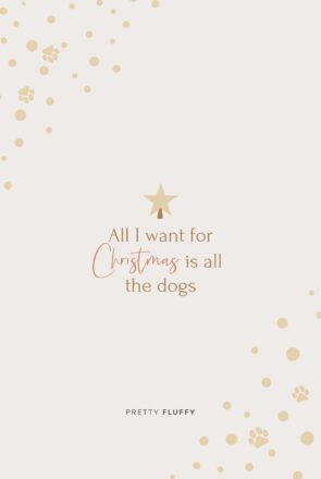 Christmas dog wallpaper with text: All I want for Christmas is all the dogs, featuring gold paw prints and a star.