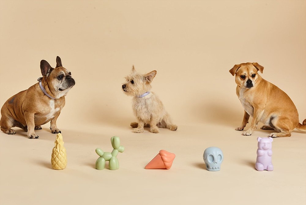Three small dogs sitting behind a row of colorful pastel dog squeaky toys on a neutral background.