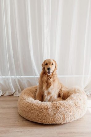 | Australian Dog Beds: 13 Best Luxury Dog Beds