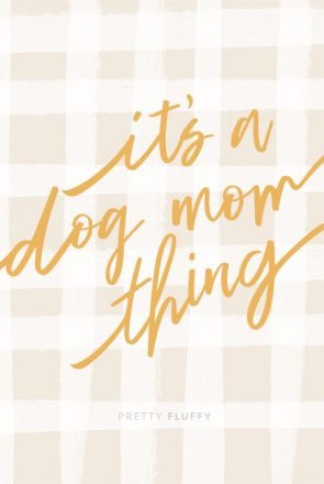 39 Dog Mom Quotes to Celebrate National Dog Mom's Day
