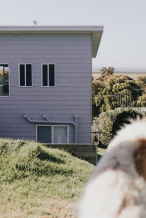 A fluffy dog in the yard of a pet-friendly holiday home in Venus Bay featuring a modern grey house with a balcony.