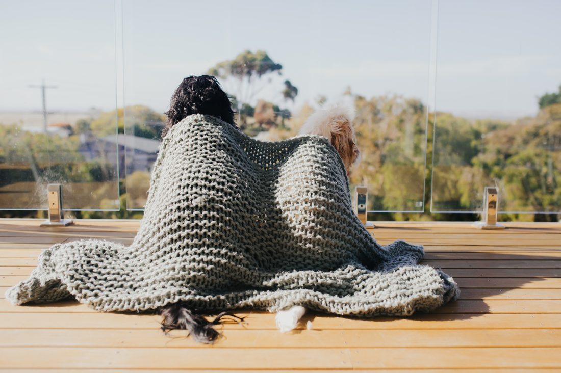 A Home Away From Home: Pet-Friendly Accommodation in Venus Bay
