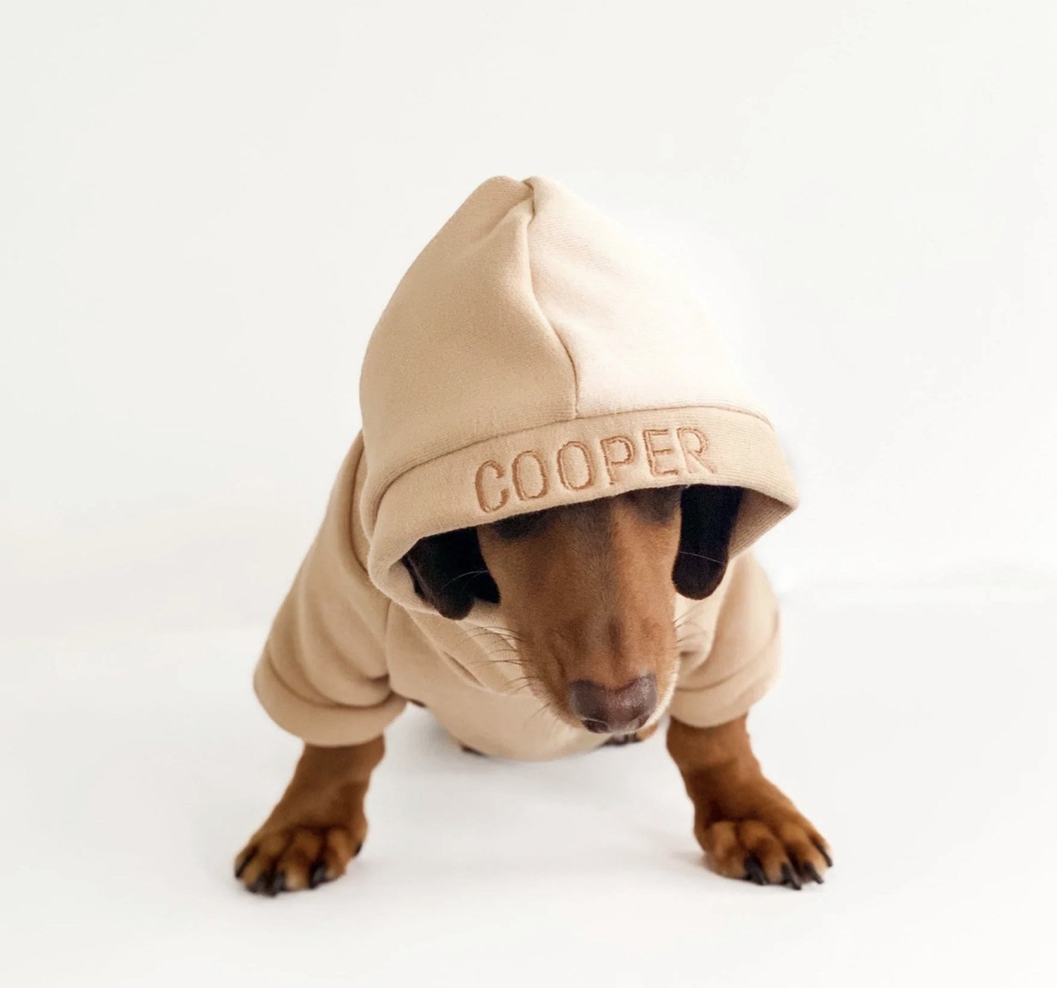 Dachshund wearing a beige personalized designer dog hoodie with Cooper embroidered on the hood.