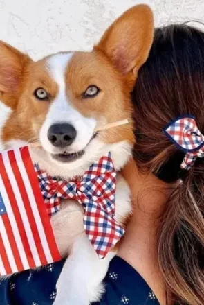 Patriotic Dog-Collar-by-The-Foggy-Dog-2