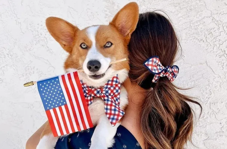 Patriotic Dog-Collar-by-The-Foggy-Dog-2