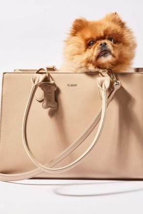 Designer dog carrier - ST ARGO vegan leather dog accessories