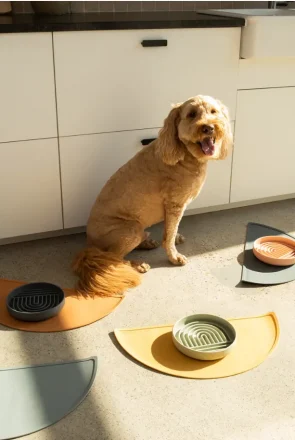 Slow feeders for dogs by Should We Go? dog brand
