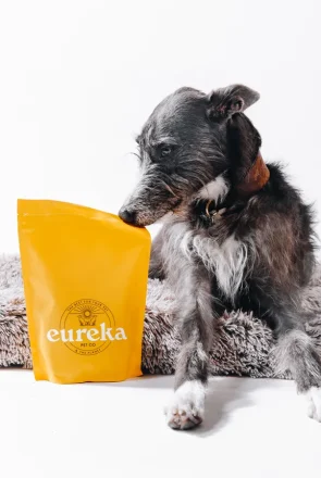 Eureka Pet Co air dried dog food Australia
