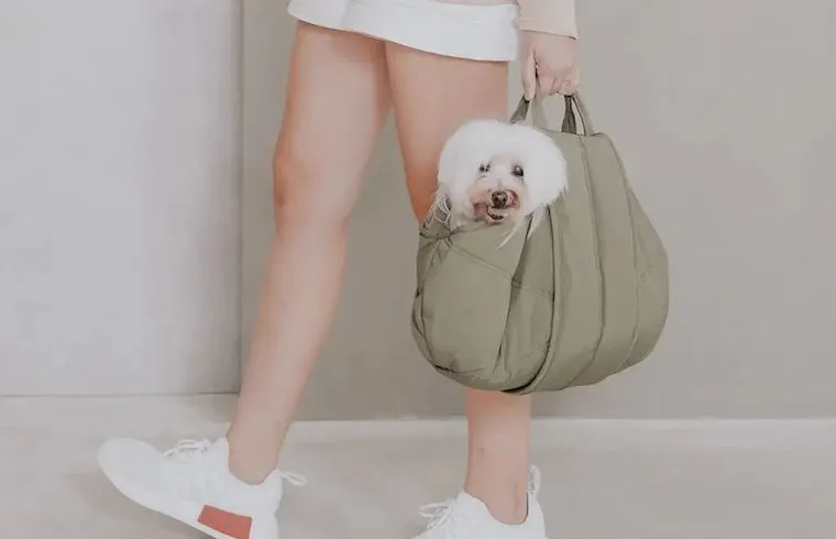 Designer dog carriers by Lambwolf Collective