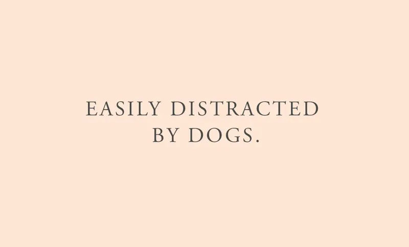 Funny dog quotes - Header