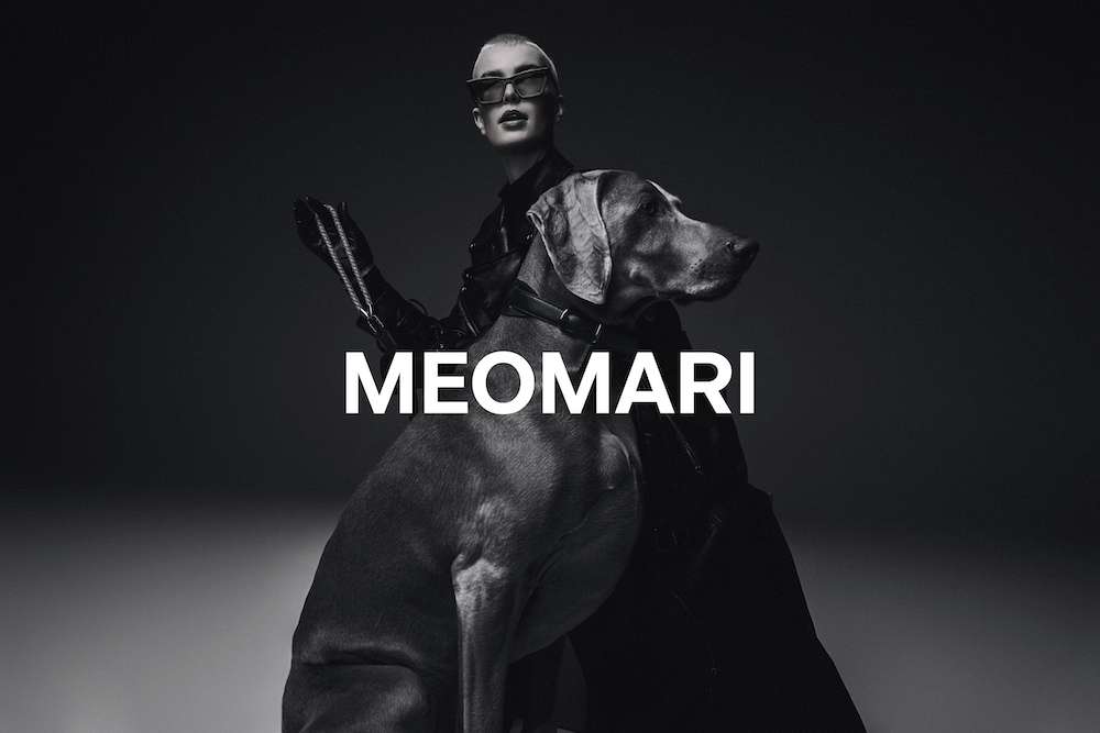 MEOMARI Ultra luxury dog accessories