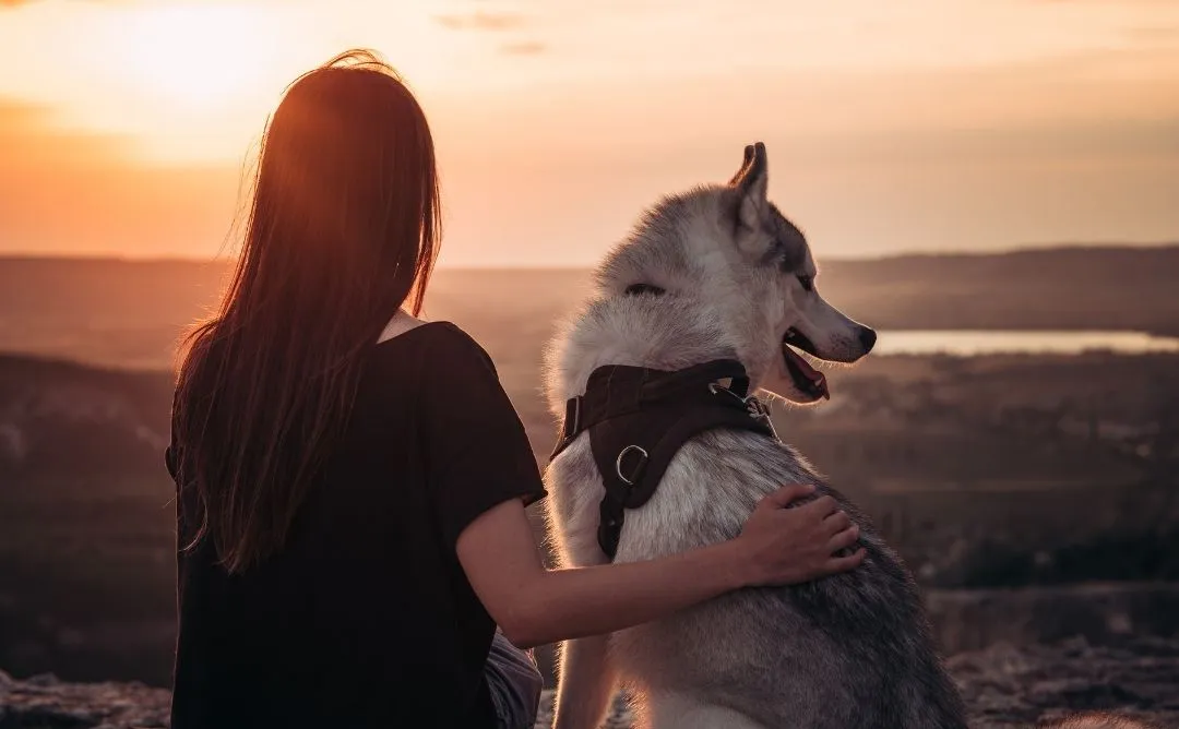 Woman with her arm around a husky dog during sunset, representing loving pet memorial ideas for dog lovers.