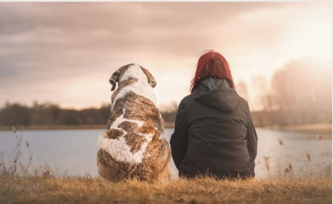 8 Heartfelt Pet Memorial Poems About The Loss of A Dog8