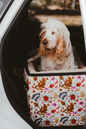 Indie Boho Dog Car Booster Seat Australia: Why Pet Parents Love It