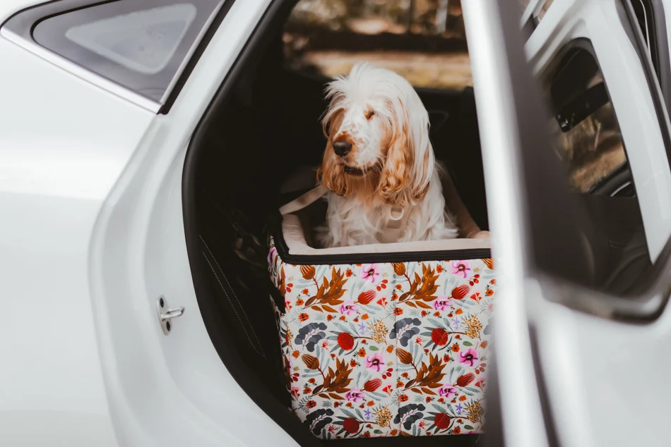 Indie Boho Dog Car Booster Seat Australia: Why Pet Parents Love It