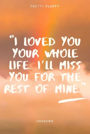 Heartfelt pet loss quote on a rainbow sky: 'I loved you your whole life. I'll miss you for the rest of mine.'