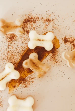Peanut Butter DIY Probiotic Dog Treat Recipe