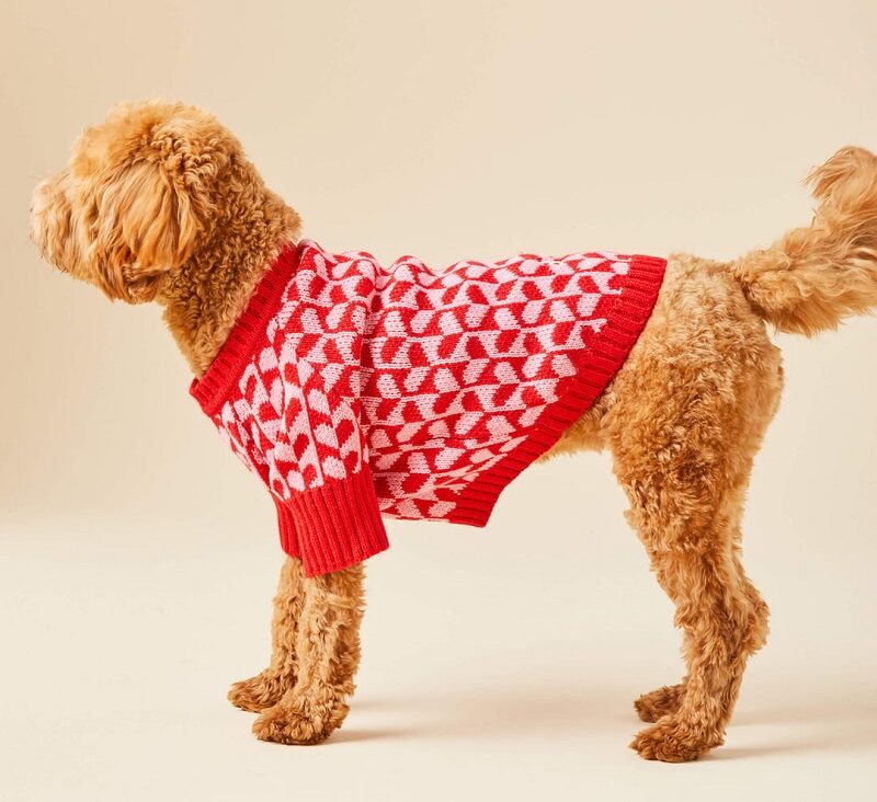 The Foggy Dog Heart Stripe Dog Sweater