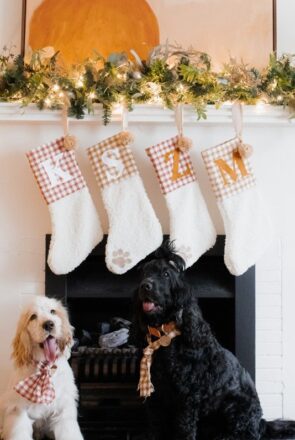 Personalized DIY dog Christmas stockings hanging on a mantle above two dogs wearing festive gingham scarves.