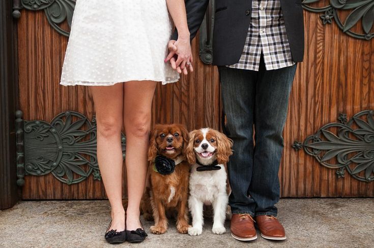 How to Include Your Pet in Your Proposal