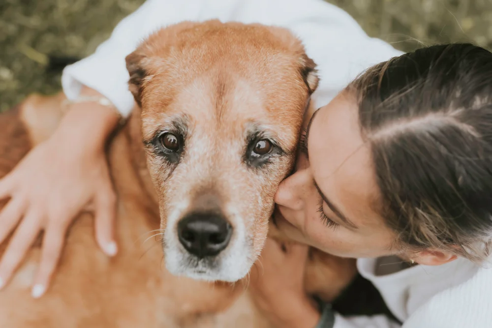 woman caring for senior dog