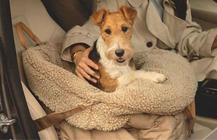 Hunting Pony Dog Travel Seats