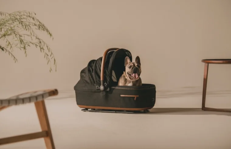 modern dog carriers australia