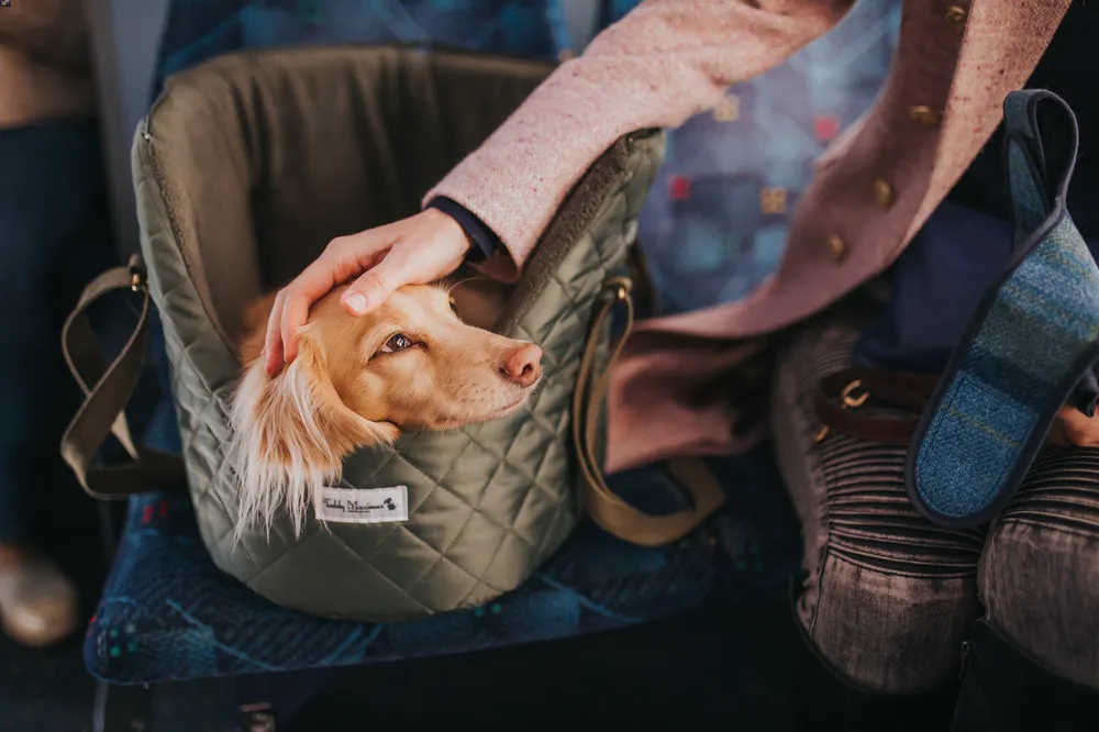 Luxury pet carrier - dog mum gift by Teddy Maximus
