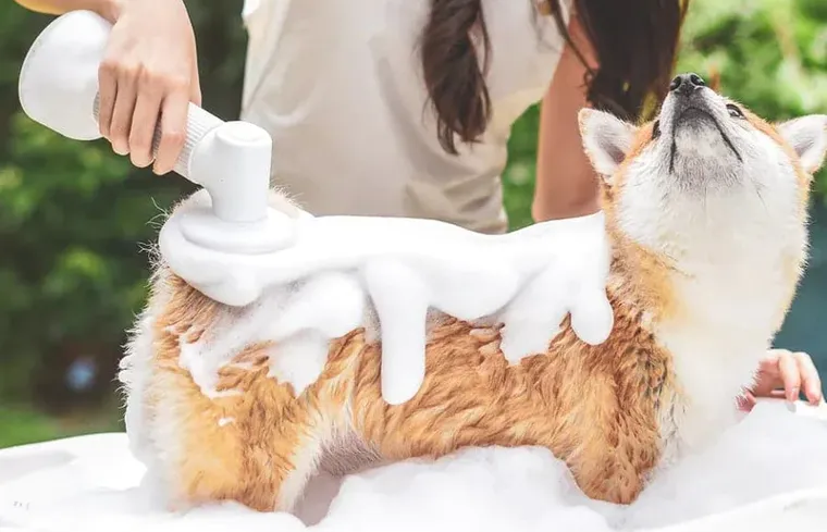 Uah Pet - Dog bath brush
