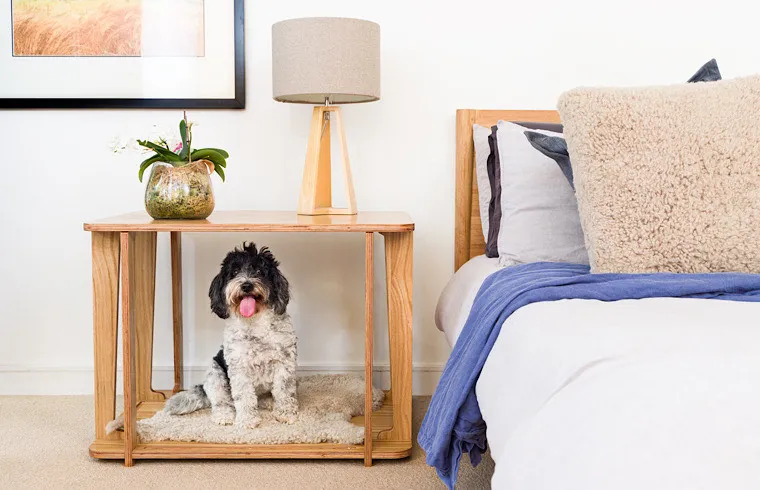 The Paws Room